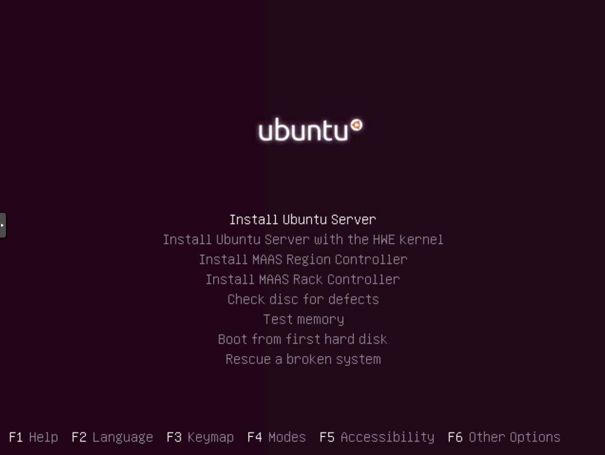 Ubuntu Installation: Auswahl der Optionen zur Instalation