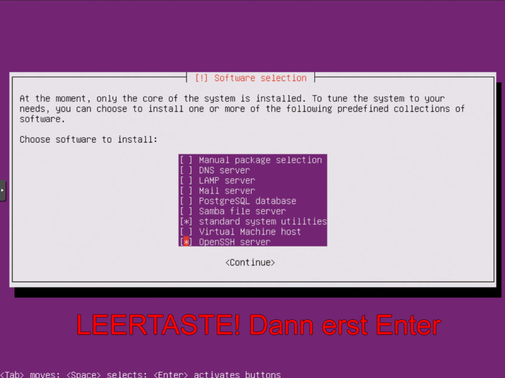 Ubuntu Installation: Software Auswahl